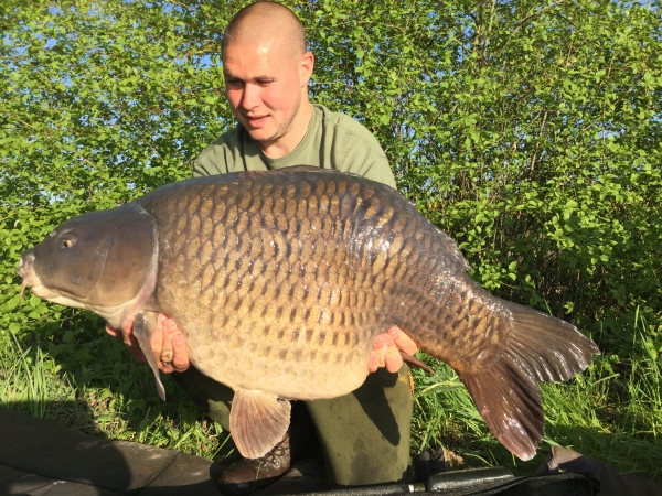 Dan Taylor: 50lb 8oz