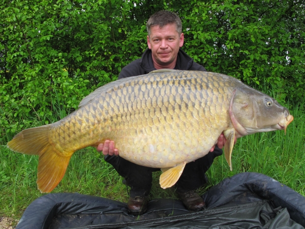 Scott Greathead: 50lb 8oz