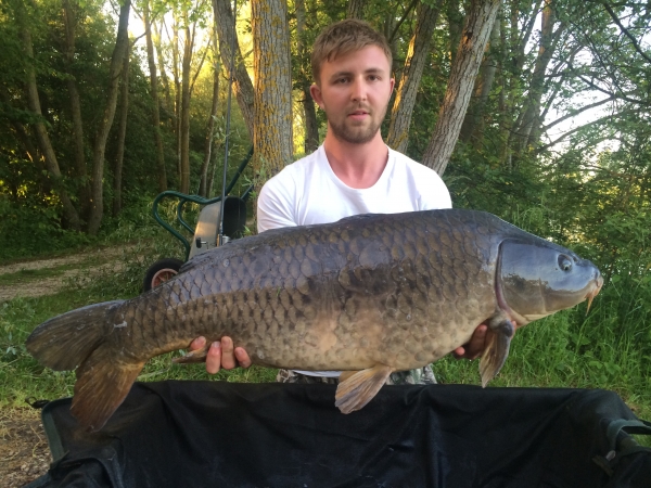 Joe Town - 36lb