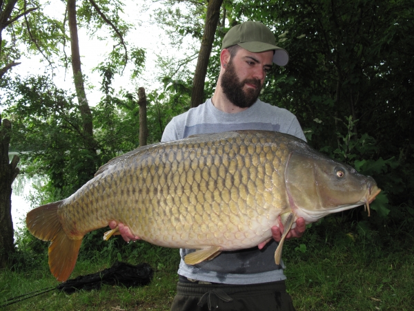 Jim Trippett: 40lb