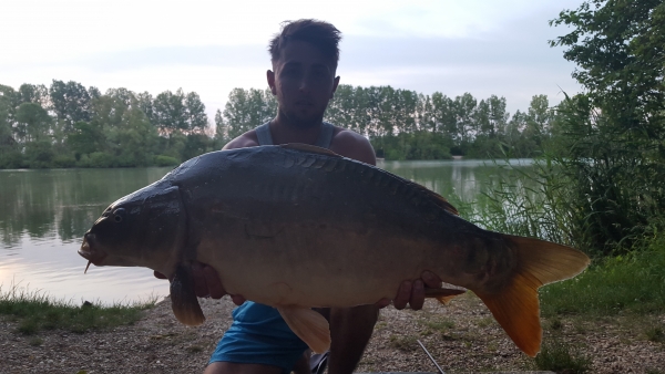 Henry Brown: 38lb