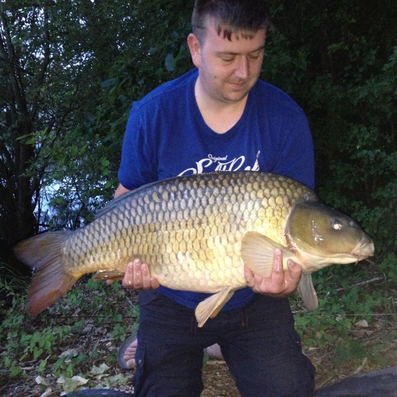 Steve Mayal: 43lb