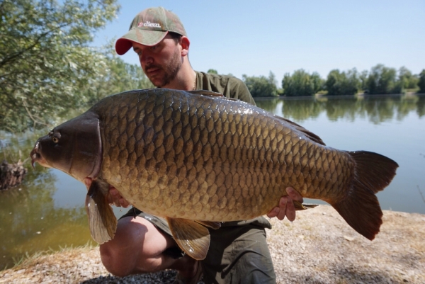 Alan Shaw: 41lb