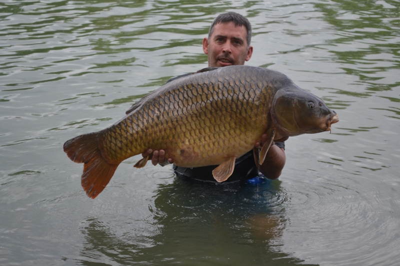 Steve Hoather: 49lb