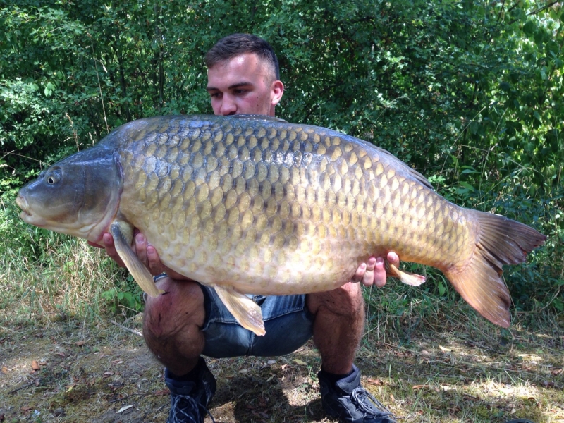 Tom Reed: 46lb