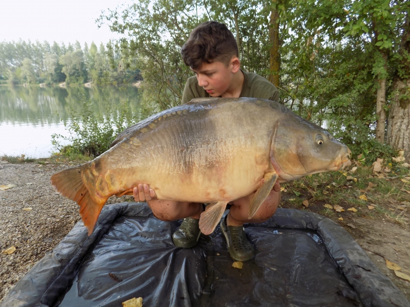 Ellis Holiday: 43lb