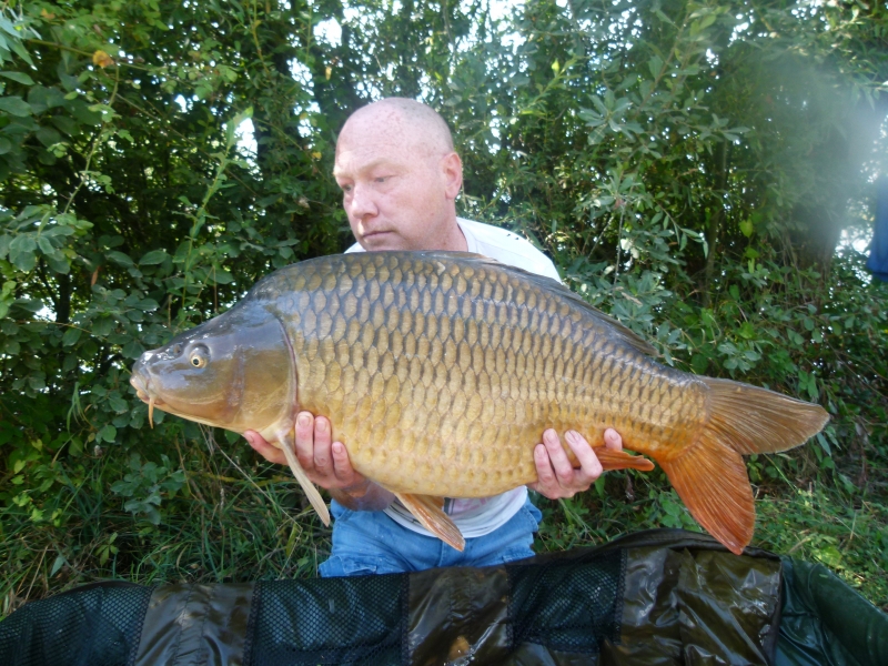 Jim Louch: 37lb