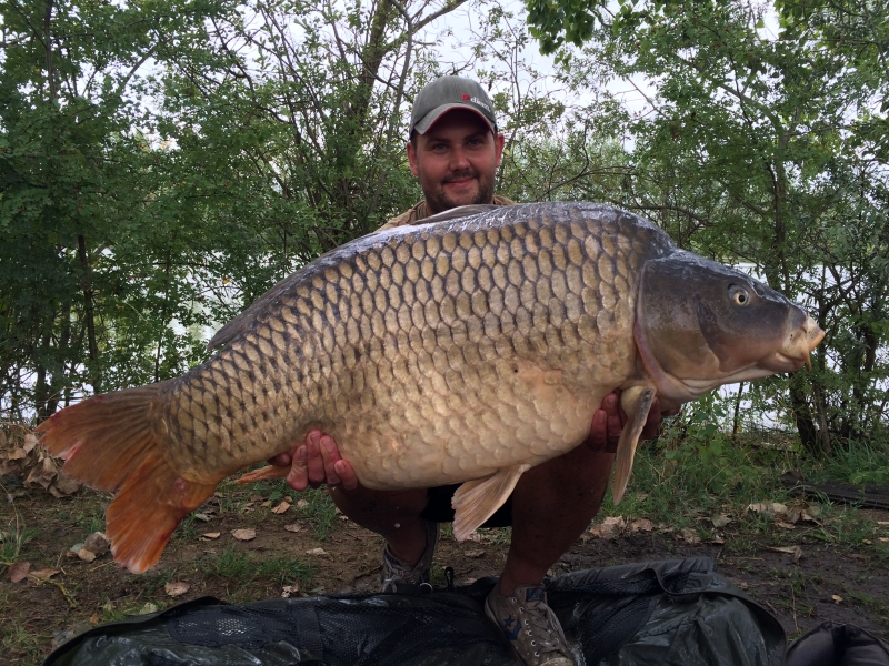 James Steer: 50lb