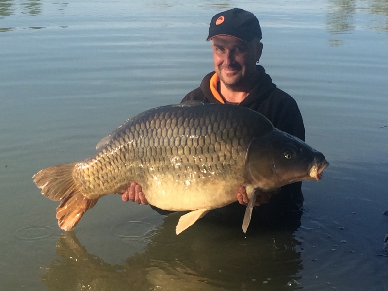 Perry Alabaster: 52lb