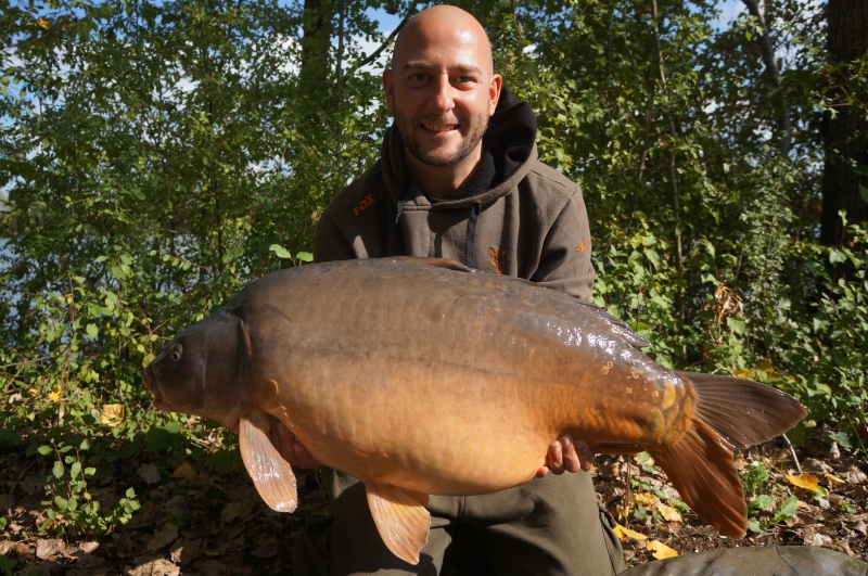 Adam Tree: 32lb