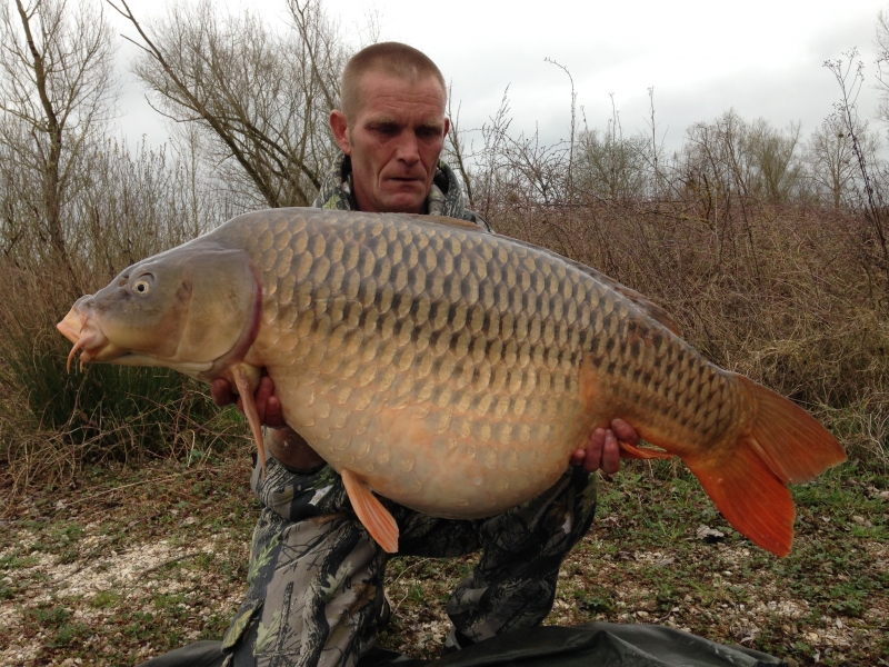 Mick Green: 50lb