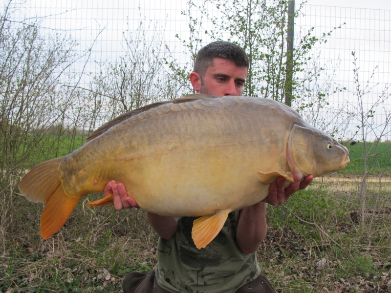 Nathan Ayres: 37lb