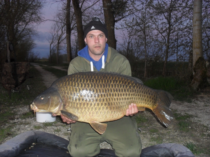 Andy Masterson: 50lb