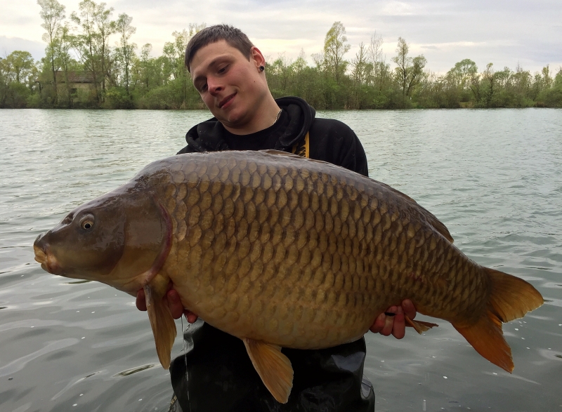 Matt Wood: 50lb