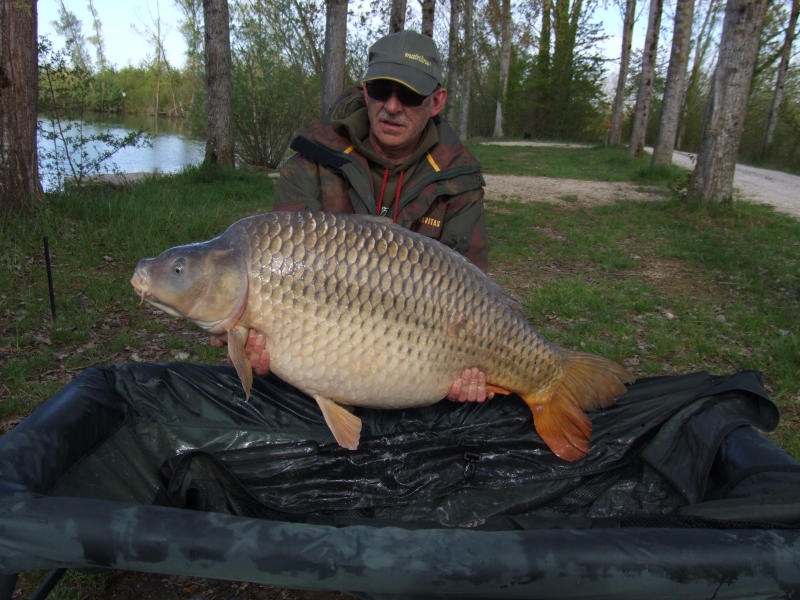 Paul Gillett: 50lb