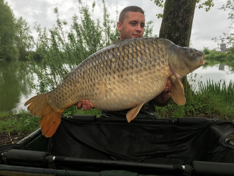 Eddie Brant: 50lb