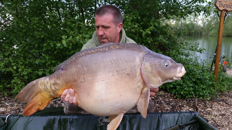 Stu Carpenter: 40lb