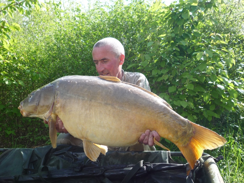 Dave Simpson: 41lb