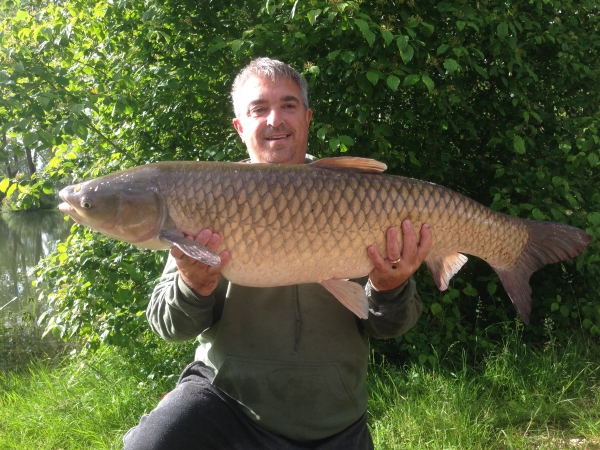 M. Serber: 39lb