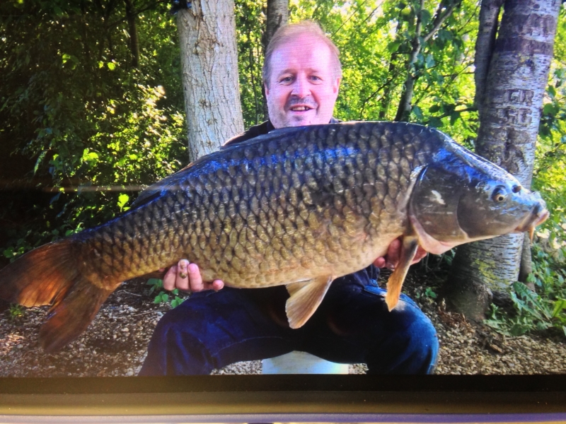 Paul Collins: 41lb