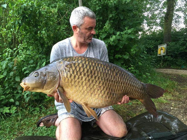 Mark Hill: 52lb