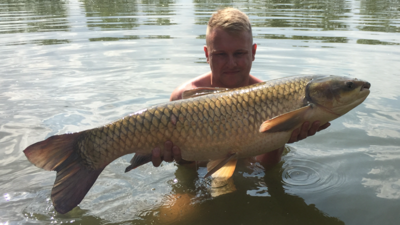 Andy Ruston: 31lb