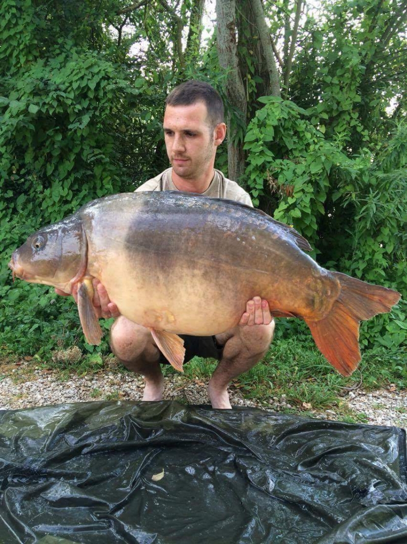 Phil Redford: 36lb