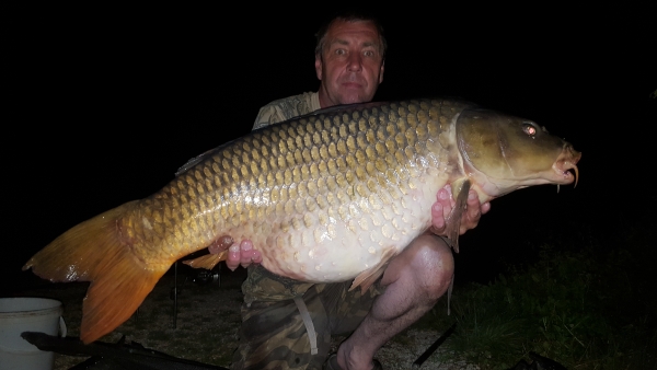 Mark Stevens: 50lb