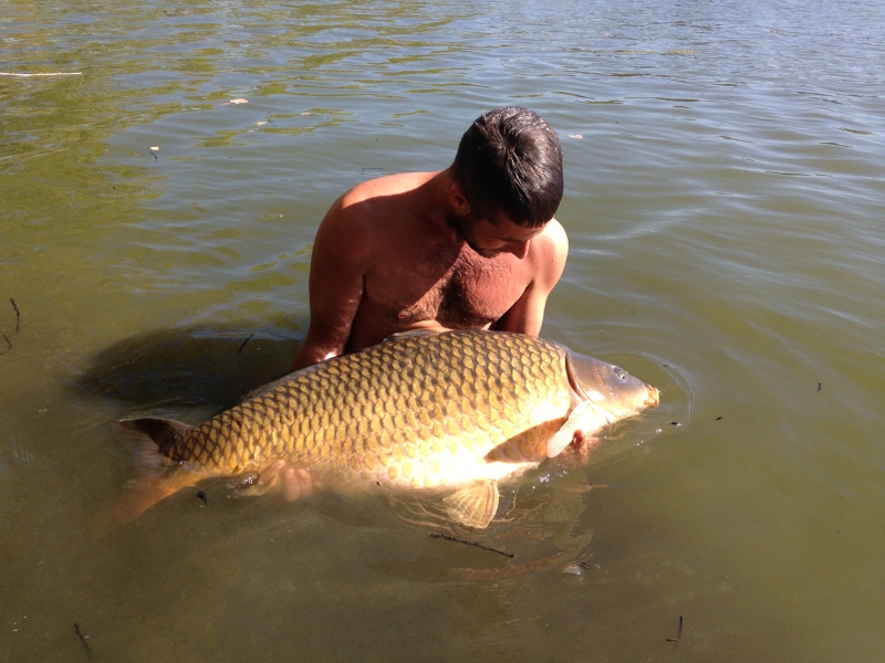 Matt McCulloch: 59lb