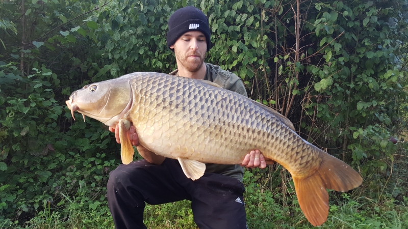 Dan Mesher: 41lb