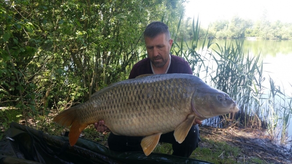 Stuart Carpenter: 50lb