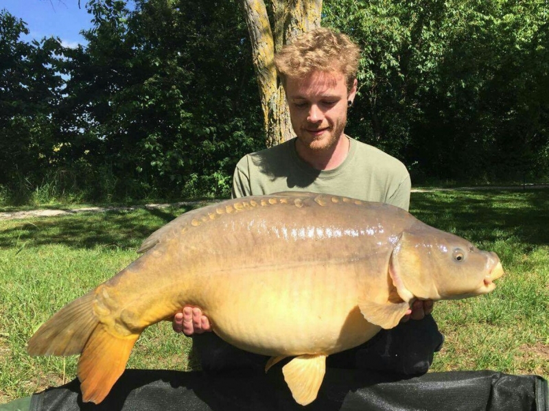 Will Steel: 38lb