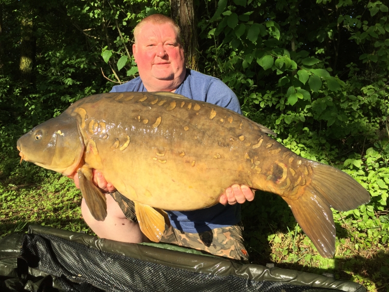 Ginger Dave: 46lb