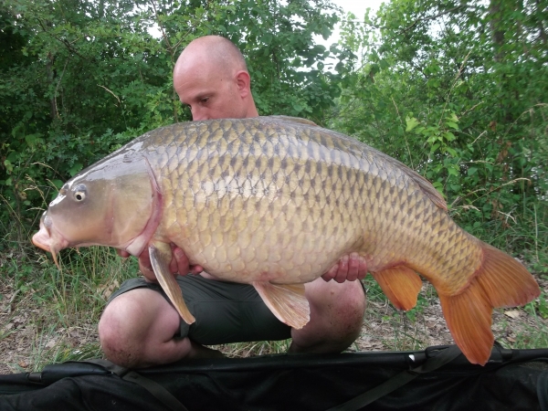 Paul Wheeldon: 41lb