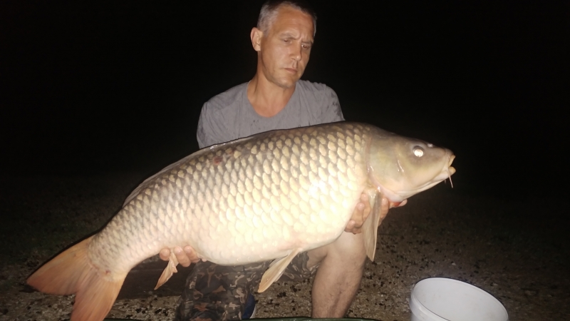 Stuart Barge: 38lb