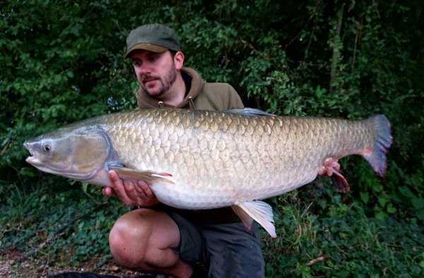 Alan Shaw: 54lb