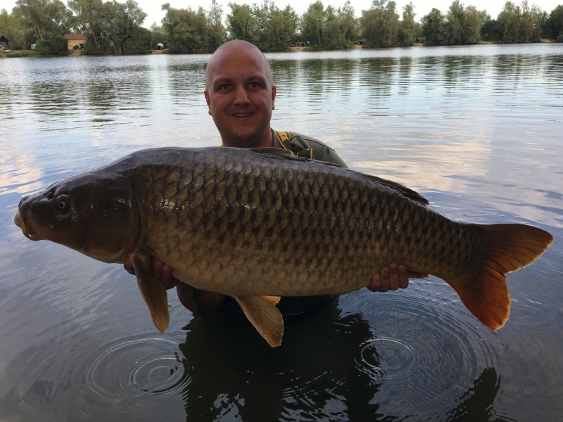 Harry Lisbon: 43lb