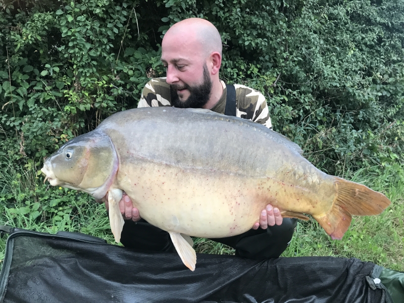 Adam Tree: 42lb