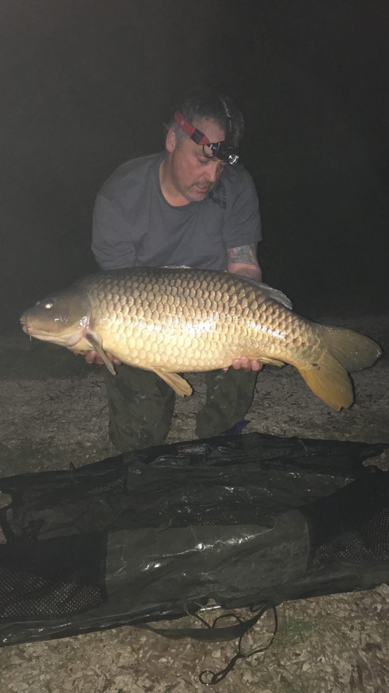 Tony Watson: 31lb