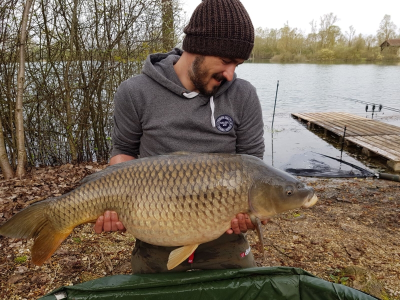 Ross Crane 29lb