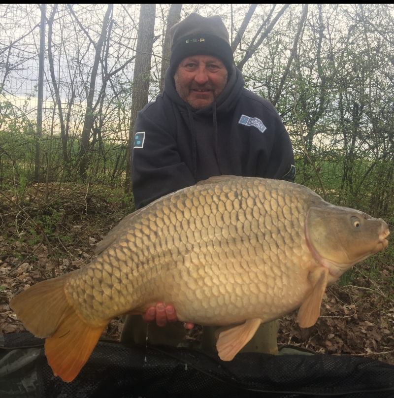 Mark Paul 33lb