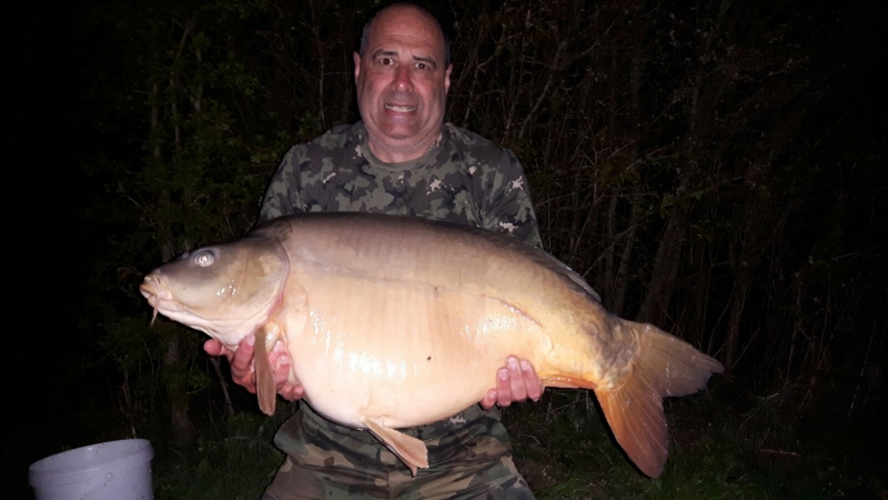 Paul Hockey 36lb