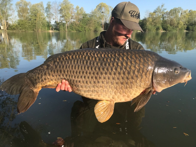 Cameron Barber 46.8lb