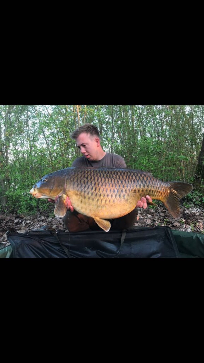 Kain Hogg 42.8lb Lk1