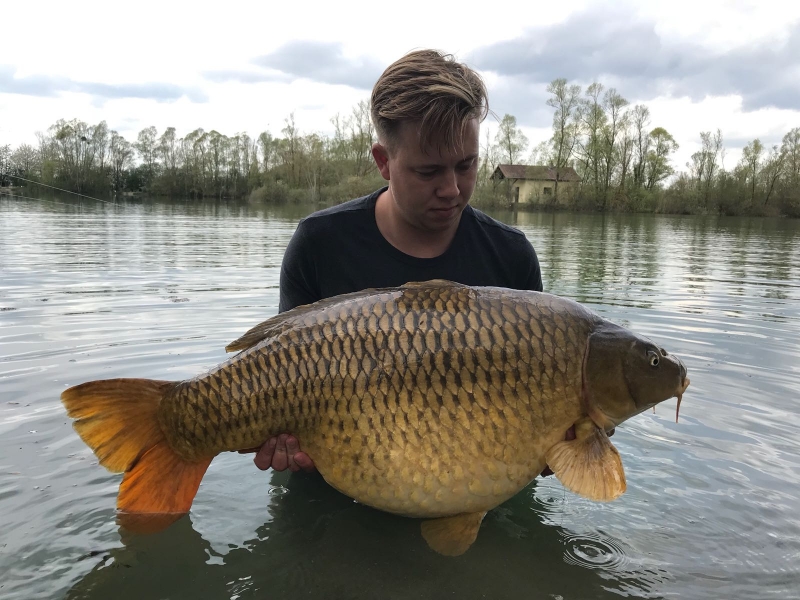 Kaine Hogg 50lb Lk1