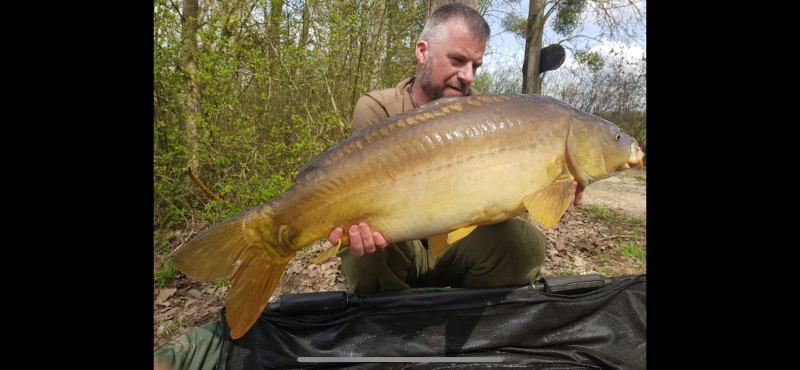 Simon Lawson 24lb Lk1