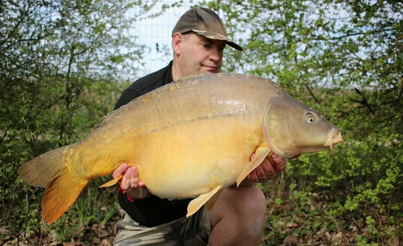 Nigel Sealey 41lb Lk2