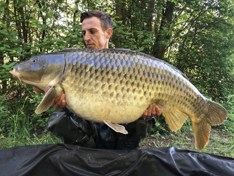 56lb