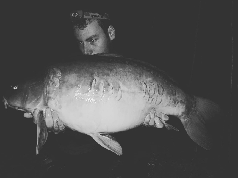 Max 38lb