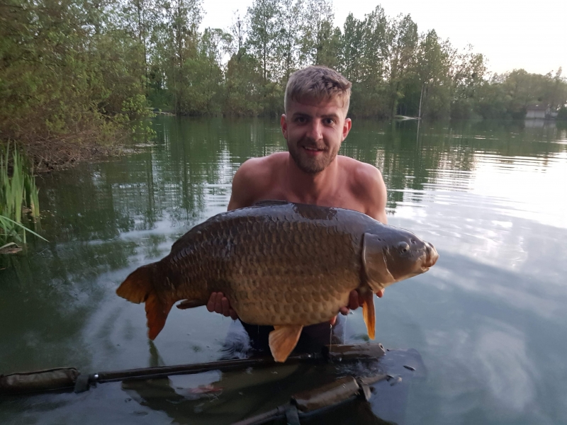 Stuart 49lb